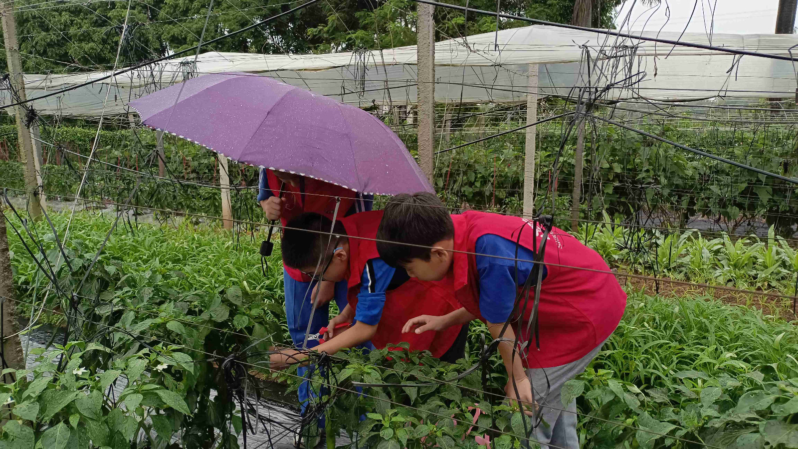 我劳动 我光荣