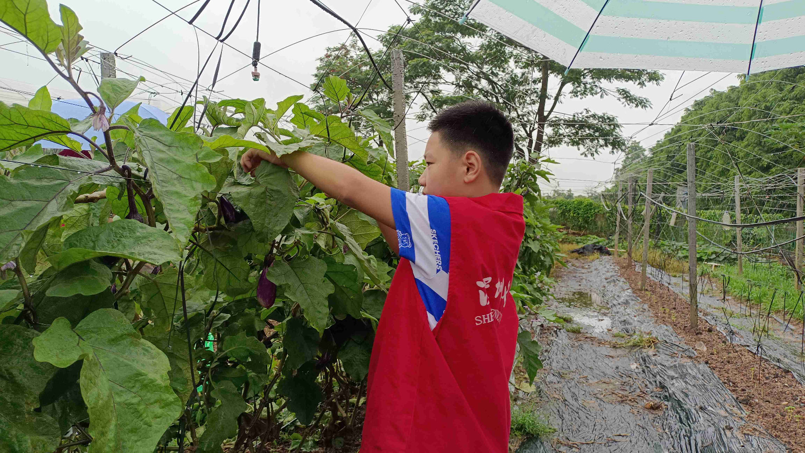 我劳动 我光荣