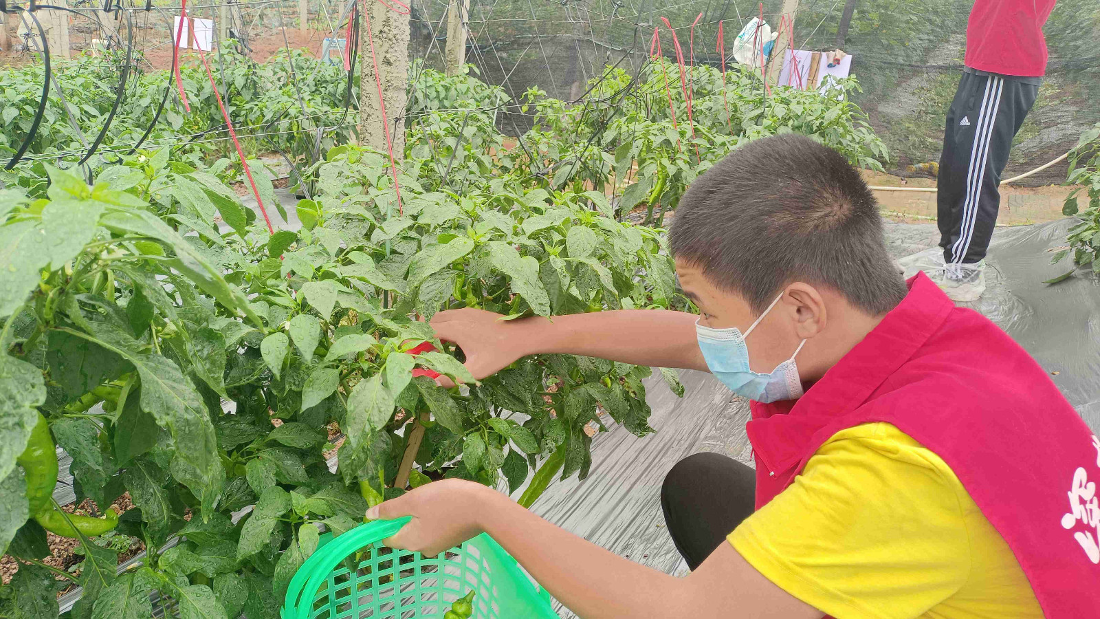 我劳动 我光荣